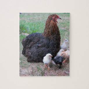 Puzzle poulet, poussins, poules, poussin, animal, oiseau,