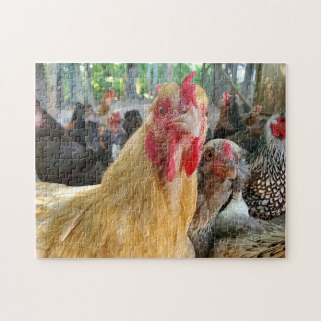 Puzzle Poulets (Horizontal)