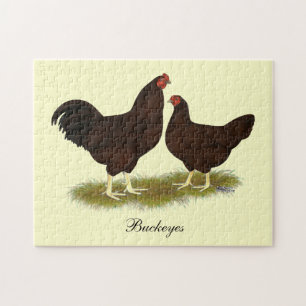 Puzzle Poulets de Buckeye