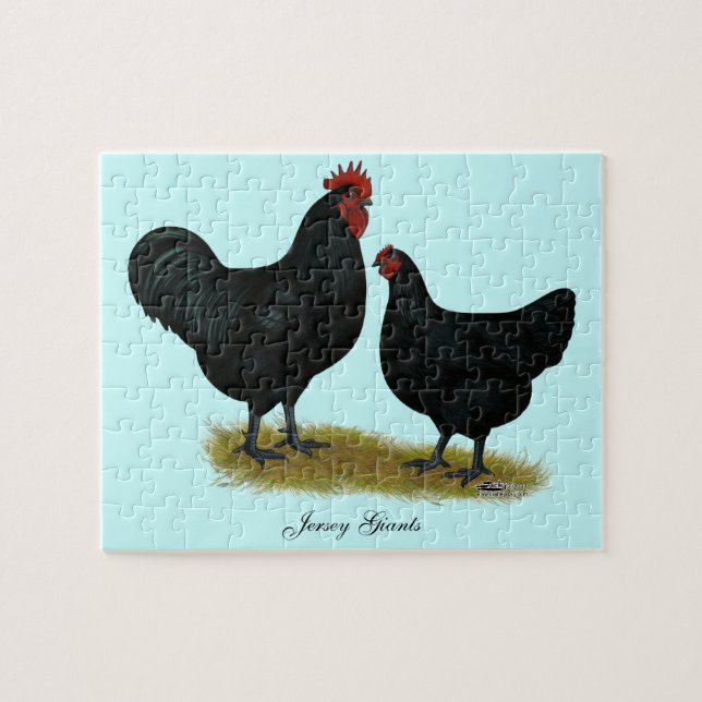 Puzzle Poulets géants Jersey (Horizontal)