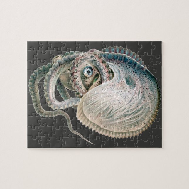 Puzzle Poulpe Argonaute Vintage, Animaux de la Vie Marine (Horizontal)