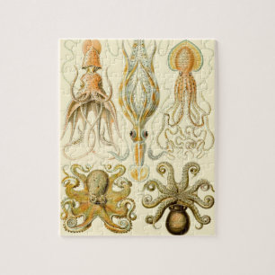 Puzzle Poulpe Vintage Calmar Gamochonia par Ernst Haeckel