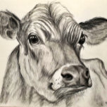 Puzzle pour vache<br><div class="desc">Croquis d'une vache, sur un puzzle. OEuvre originale de Maria Kemp</div>