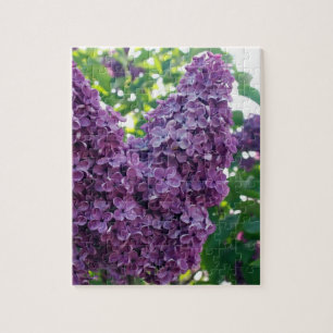 Puzzle pourpre de lilas