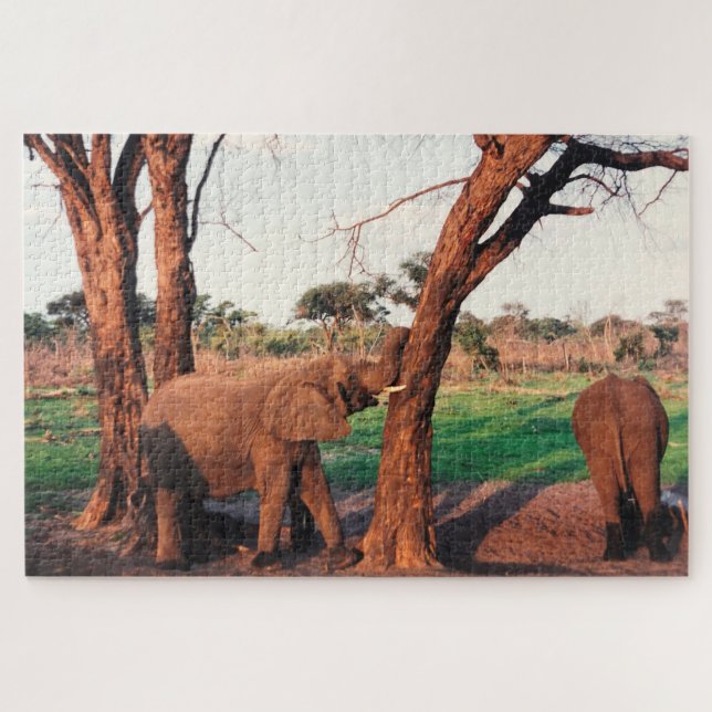 Puzzle poussée d'éléphant (Horizontal)