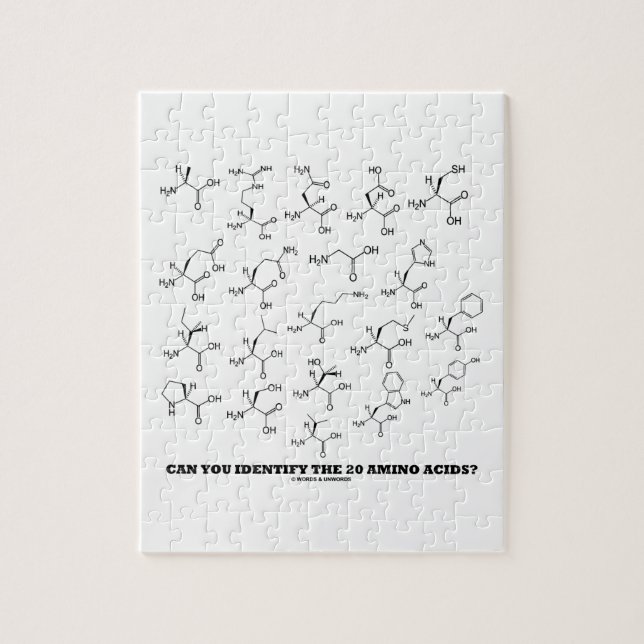 Puzzle Pouvez-Vous Identifier Les 20 Acides Aminés ? (Chi (Vertical)