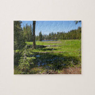 Puzzle Prairie de Yosemite avec des étoiles filantes