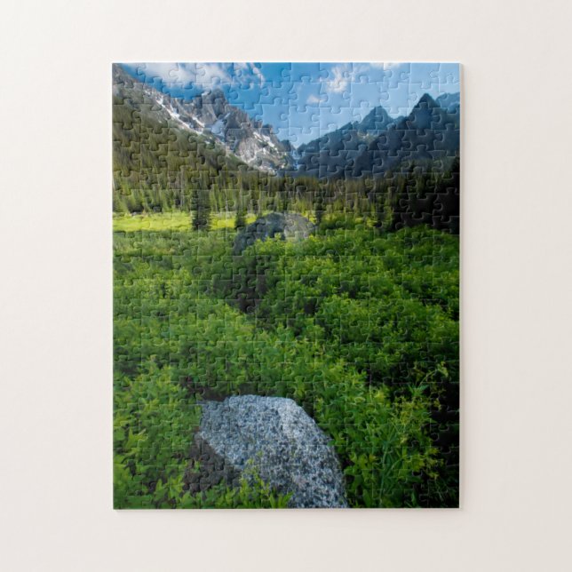 Puzzle Prairie et mont Stuart (Vertical)