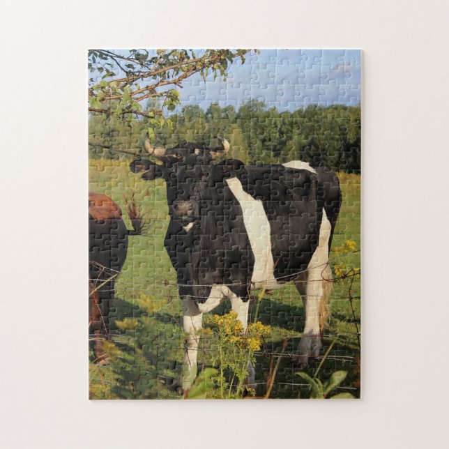 Puzzle Prenez Taureau par les klaxons (Vertical)