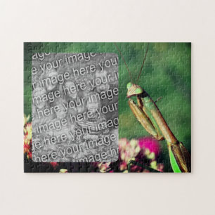 Puzzle Prêter Cadre Mantis Créer Votre Propre Photo