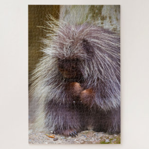 Puzzle Prickly Porcupine Challenger Nature Lover