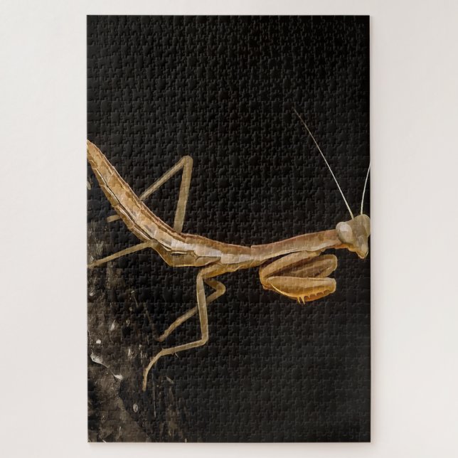 Puzzle Prière Mantis Belle Et Déplaisante Insecte Art (Vertical)