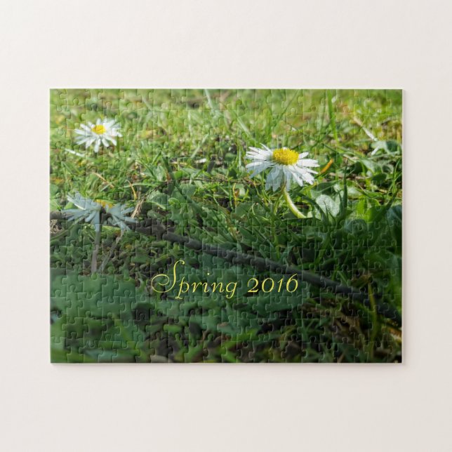 Puzzle Printemps 2016, Fleurs marguerites (Horizontal)