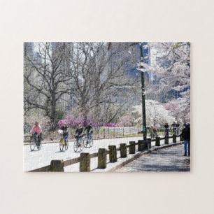 Puzzle Printemps à Central Park Cerry Blossoms NYC