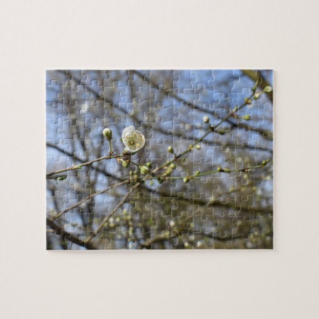 Puzzle Printemps éveil, fleur de cerisier sauvage (Horizontal)