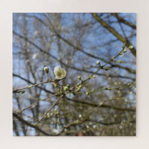 Puzzle Printemps éveil, fleur de cerisier sauvage