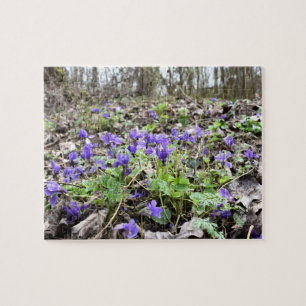 Puzzle Printemps éveil, Fleurs de forêt, Violettes de mar