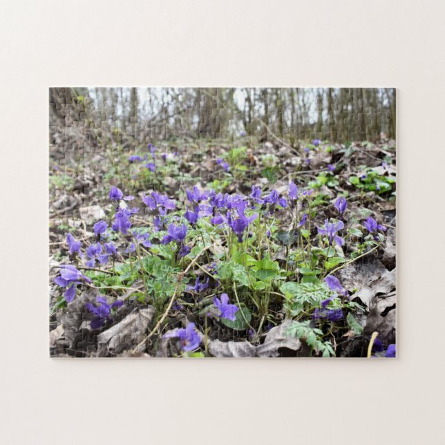 Puzzle Printemps éveil, Fleurs de forêt, Violettes de mar (Horizontal)