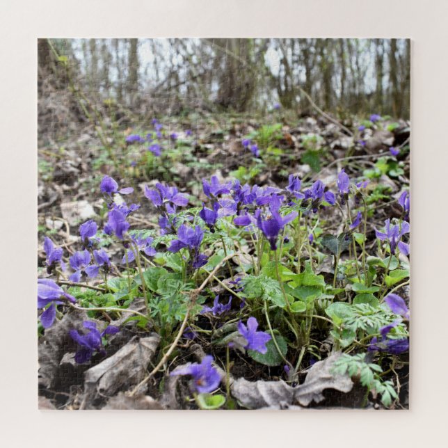 Puzzle Printemps éveil, Fleurs de forêt, Violettes de mar (Horizontal)
