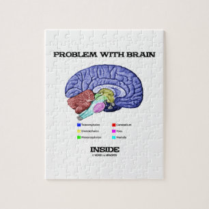 Puzzle Problème avec l'intérieur de cerveau (anatomie d