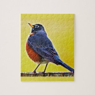 Puzzle Produits de Robin