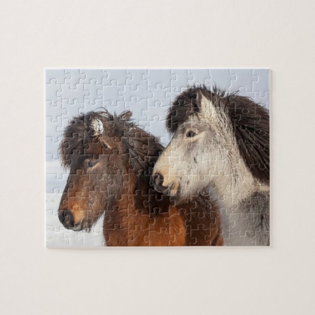 Puzzle Profil de cheval islandais, Islande (Horizontal)