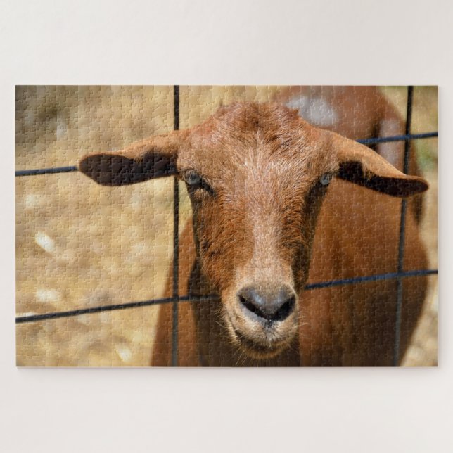 Puzzle Profil de chèvre (Horizontal)