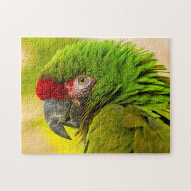 Puzzle Profil de macaw à Père Noël Barbara Zoo (Horizontal)