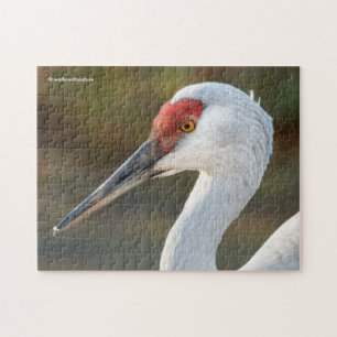 Puzzle Profil élégant d'une grande grue de Sandhill