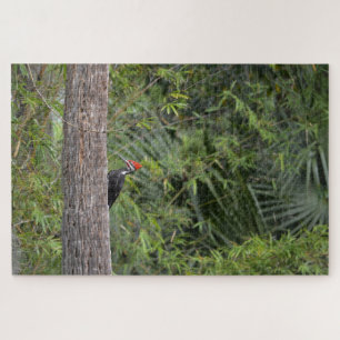 Puzzle Profil Floride Pileated Woodpecker Nature Photo