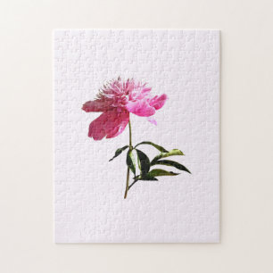 Puzzle Profil Pink Peony