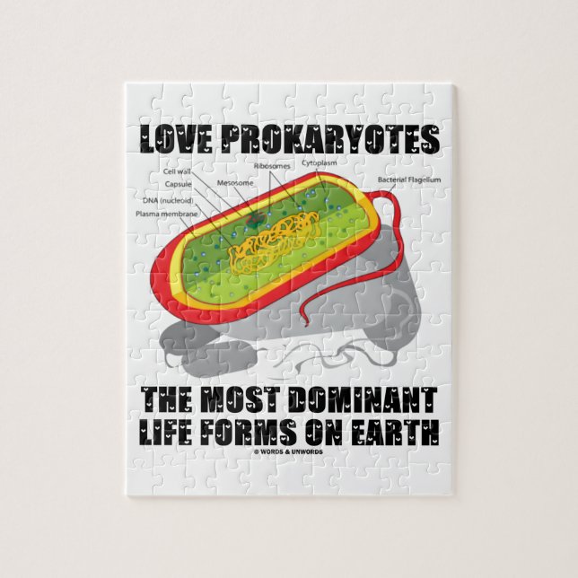 Puzzle Prokaryotes d'amour la plupart des formes de vie (Vertical)