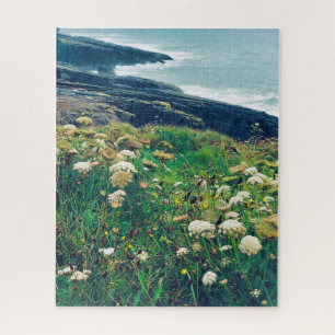 Puzzle Promenade de Cliff Dunmore Est Waterford Irlande.