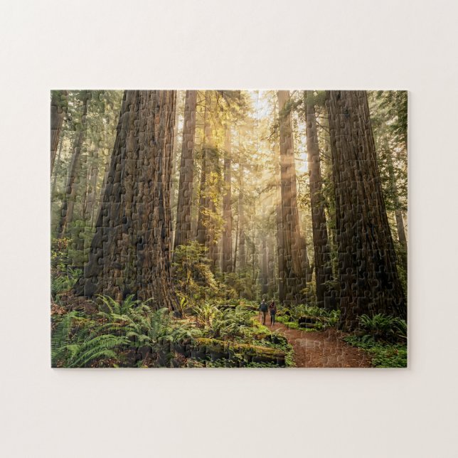 Puzzle Promenade en forêt (Horizontal)