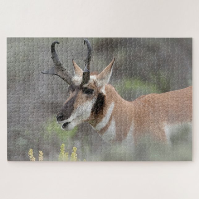 Puzzle Pronghorn Antelope Buck | Grand Tétons (Horizontal)