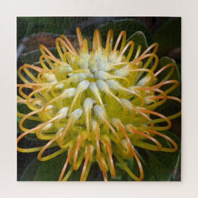 Puzzle Protea à fleurs exotiques jaunes (Vertical)