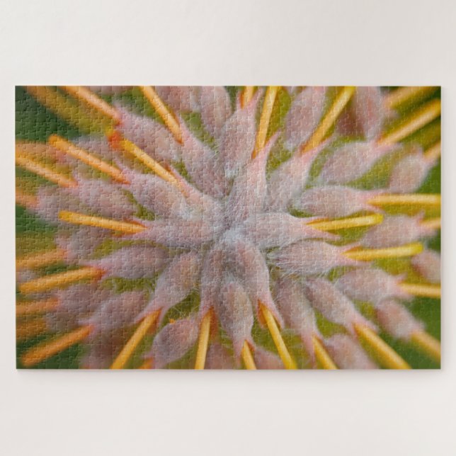 Puzzle Protea Leucospermum praecox. . Protéa à tête d'épi (Horizontal)