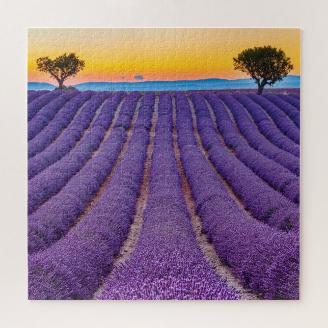 Puzzle Provence, France.Plateau de Valensole. (Horizontal)