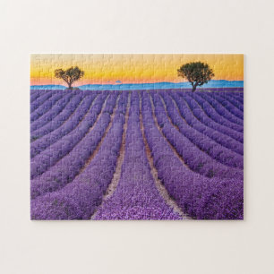 Puzzle Provence, France Plateau de Valensole.