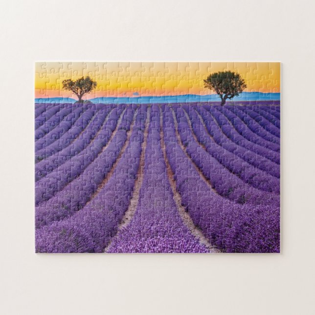 Puzzle Provence, France Plateau de Valensole. (Horizontal)