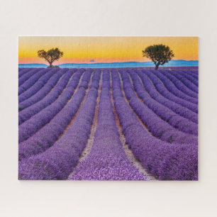 Puzzle Provence, France Plateau de Valensole.