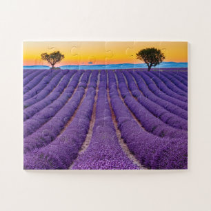 Puzzle Provence, France Plateau de Valensole.