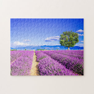 Puzzle Provence lavander