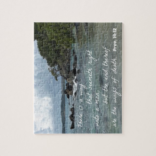 Puzzle Proverbes 14:12 Il y a un moyen qui semble juste (Vertical)