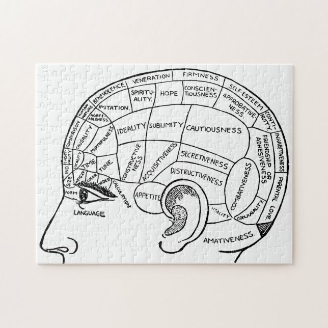 Puzzle Psychologie vintage phréologie psychiatrie cerveau (Horizontal)