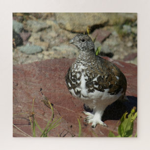 Puzzle Ptarmigan à queue blanche - 676 pièces