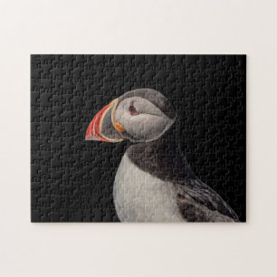 Puzzle Puffin Atlantique en Machias, Maine