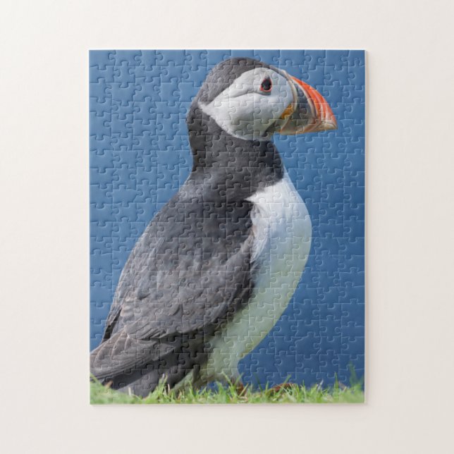 Puzzle Puffin Atlantique (Fratercula Arctica) Sur Cliff (Vertical)