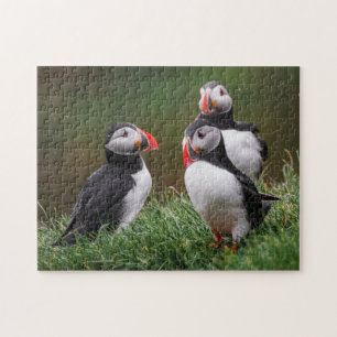 Puzzle Puffin Trio