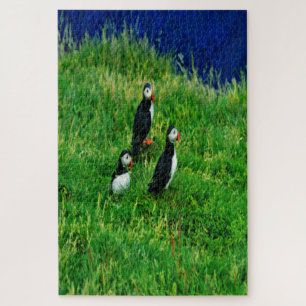 Puzzle Puffins